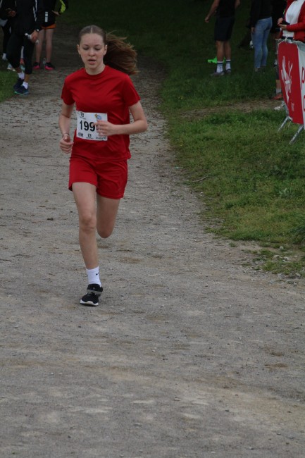 IMG_4611.jpg